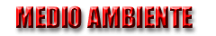 ambiente.gif (6039 bytes)
