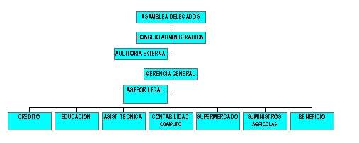organi_grama.jpg (18143 bytes)